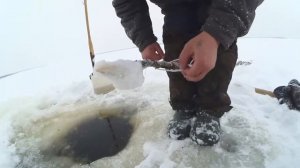 Продольник на налима зимой! Рыбалка на севере Стофети и компания 2017