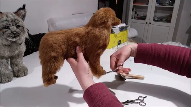 Leonberger Art Doll смотреть онлайн