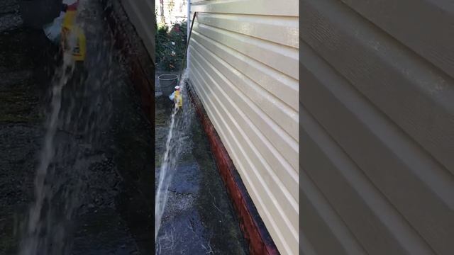 How To Deal With Moss And Mold In Siding Step Four