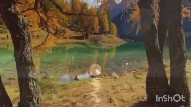 МЕДИТАЦИЯ НА РАССЛАБЛЕНИЕ//ЗДОРОВЬЕ//СОН смотреть онлайн