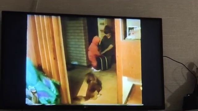 Когда готов к эмиграции в Америку с лихих 90-х. смотреть онлайн