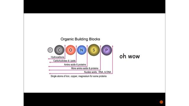 Asriel Reacts: Undertale in a nutshell смотреть онлайн