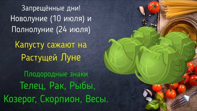 Посадка капусты в июле 2021 года. Благоприятные дни, лунный календарь. смотреть онлайн