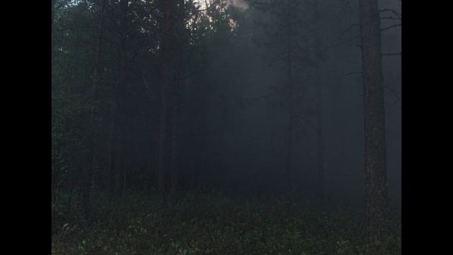 Come and See (1985) by Elem Klimov, Clip:Aerial bombs-Glasha & Flyora experience terror in the wood смотреть онлайн