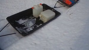 МОТОСОБАКА Паксус 550 поездка в Родник  Мысли о мотособаке