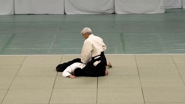 57-я Всеяпонская демонстрация айкидо (2019). (Досю) Моритеру Уэсиба