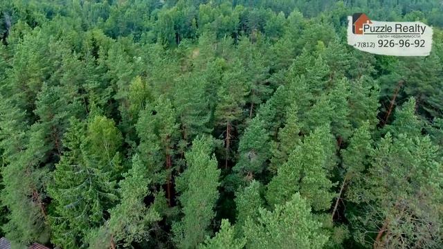 Коттеджный поселок Репинские дачи смотреть онлайн