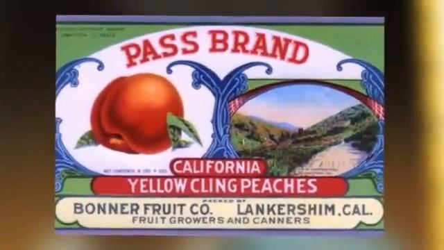 Винтажные Этикетки / Vintage Labels смотреть онлайн