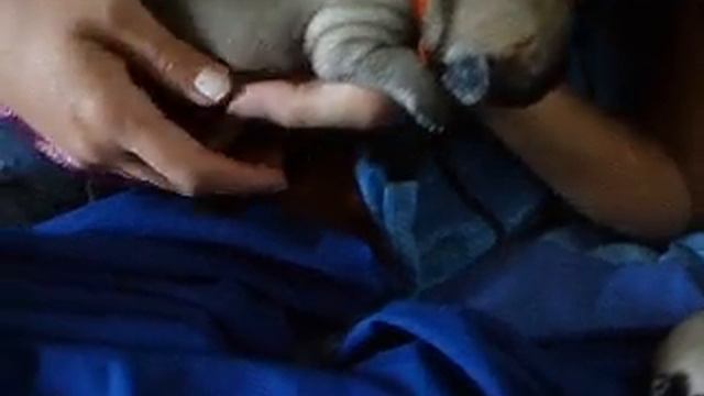 Кетти и детки смотреть онлайн