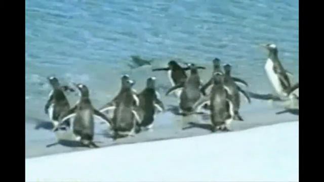 Psalm 148 with commentary and song смотреть онлайн