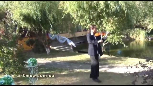 Яркий цыганский музыкант скрипач на свадьбе в Киеве смотреть онлайн
