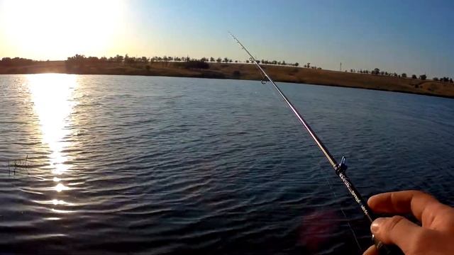 Redman F L Worm в действии