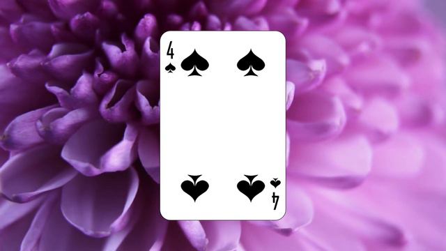 10 января: Поздравляю, Вы Четверка Пик! смотреть онлайн