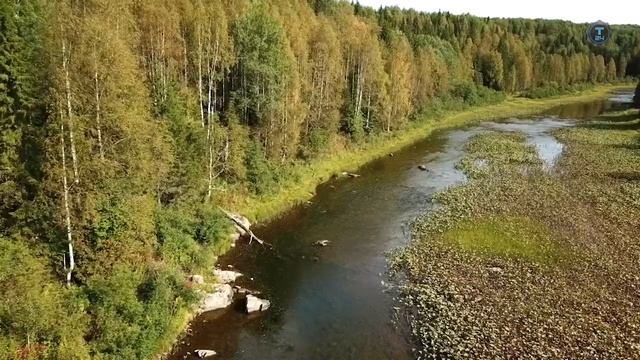 Заповедник Басеги смотреть онлайн