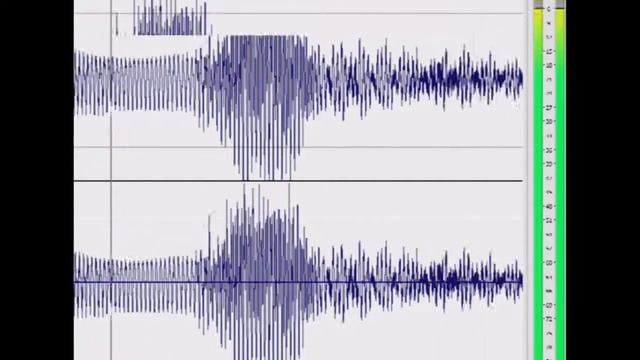 Марш Невидимок: ЧихуаНеХуа или убирайте за собаками @овно смотреть онлайн