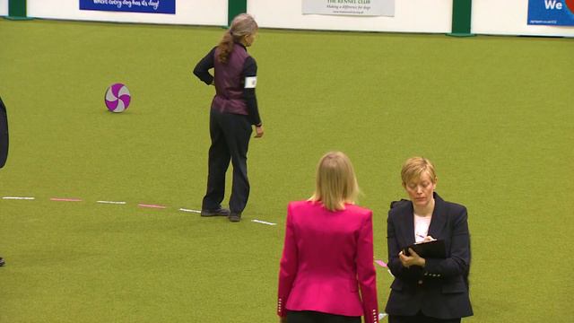 Obedience - Bitch Championship - Part 6 | Crufts 2018