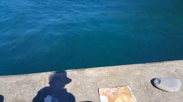 Рыбалка с пирса в Солониках (Лазаревское) на спининг и без него. Черное море и наш скромный улов смотреть онлайн