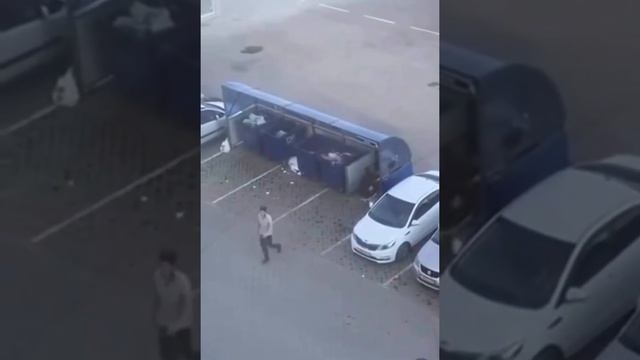 В Омске мужчина выбросил девушку в мусорный бак. смотреть онлайн