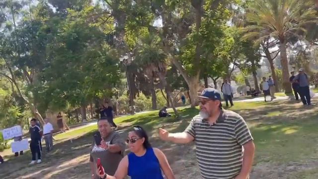 Los gorgojos estaban en el parque Mac Artur смотреть онлайн