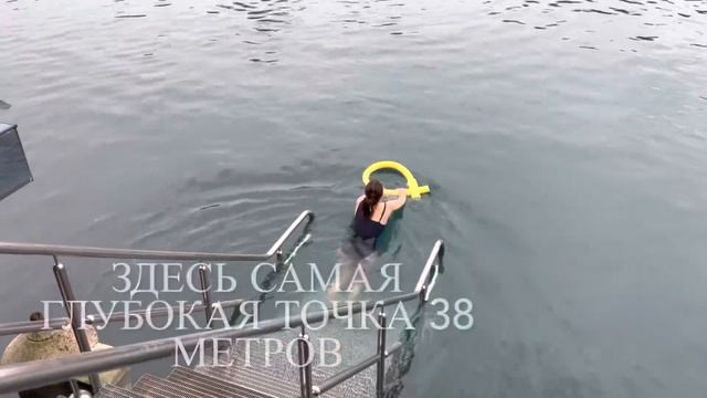 Хэвиз. ВЕНГРИЯ .03февраля 2023 г. смотреть онлайн