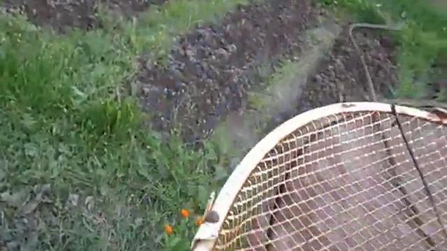 Как вымыть грязную картошку в бочке с водой, не тонет. смотреть онлайн