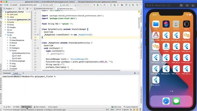 Flutter Image Not Showing on Web Browser ? Image Renderer Error on Flutter Web смотреть онлайн