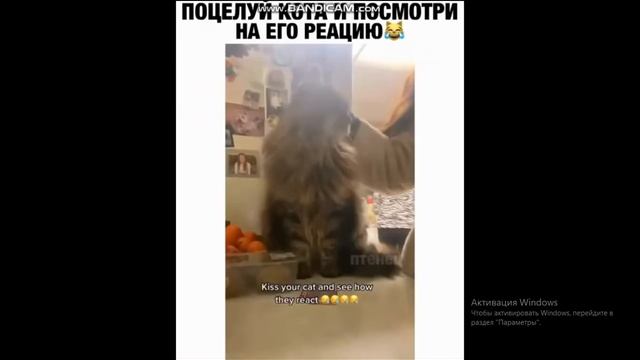 Я ражал 7 минут блин капец!! смотреть онлайн