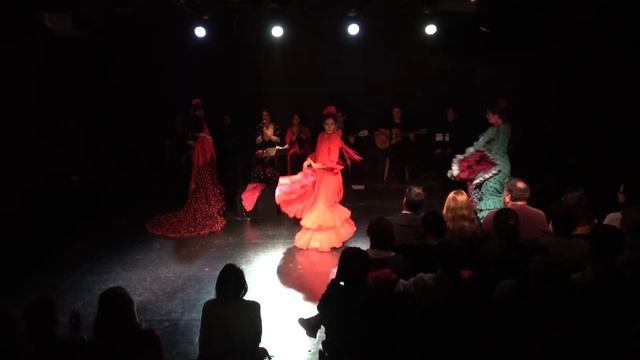 Alegría bata de cola y mantón - La Moreneta Flamenco смотреть онлайн