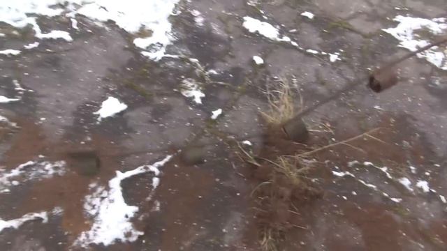 Коп чермета с металлоискателем на любимой ферме. смотреть онлайн