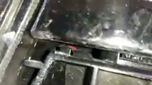 The Ultimate Weekend Getaway: Suzuki Style