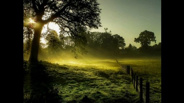 Звуки для засыпания Крепкий сон