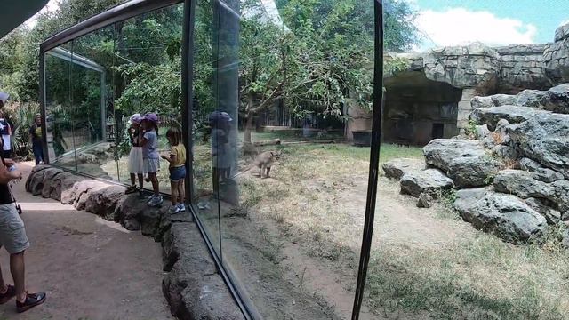 Колоритный Техас / В поисках экзотики / И снова зоопарк - #54 смотреть онлайн