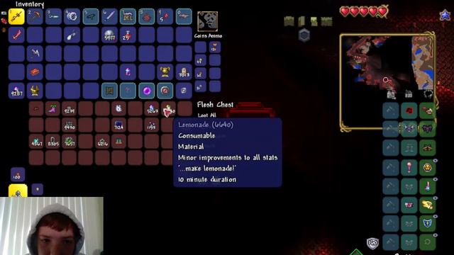 terraria calamity randomizer mod pt:2 смотреть онлайн