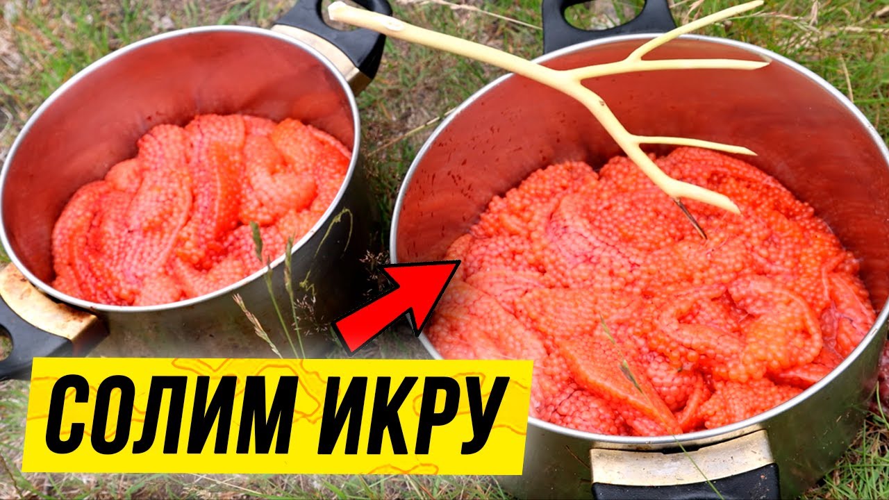 Как засолить красную ИКРУ прямо на реке ? смотреть онлайн