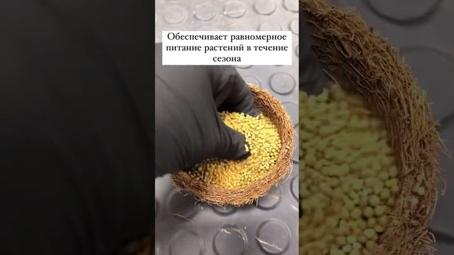 Осмокот Блюм - удобрение пролонгированного действия. смотреть онлайн