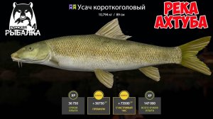 ОТЛИЧНЫЙ ФАРМ НА УСАЧЕ НА РЕКЕ АХТУБА В РУССКОЙ РЫБАЛКЕ 4 РР4