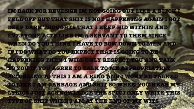 Young Hostile Python Lyrics смотреть онлайн