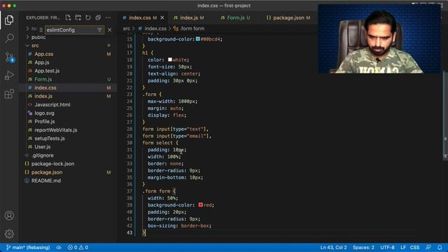 React Js Tutorial in Hindi & Urdu #21 React Form Styling ? смотреть онлайн