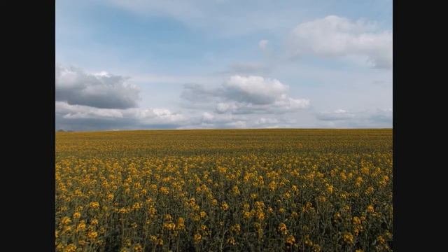FUJIFILM Finepix JX400/ Quality Testing смотреть онлайн