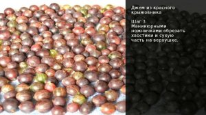 Джем из красного крыжовника . Рецепт от шеф повара Максима Григорьева