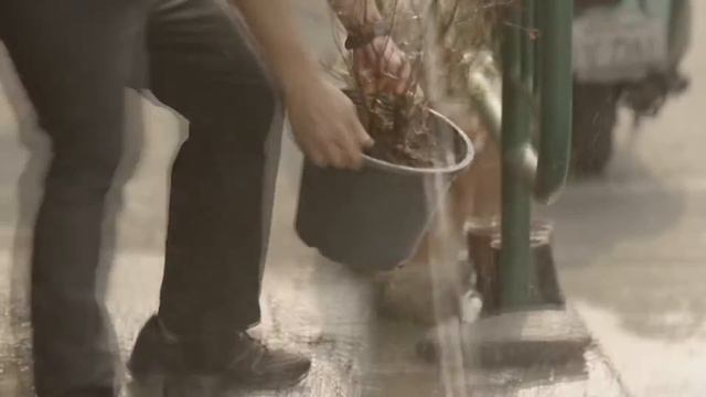 Школа Со-творчества Душа Мира смотреть онлайн