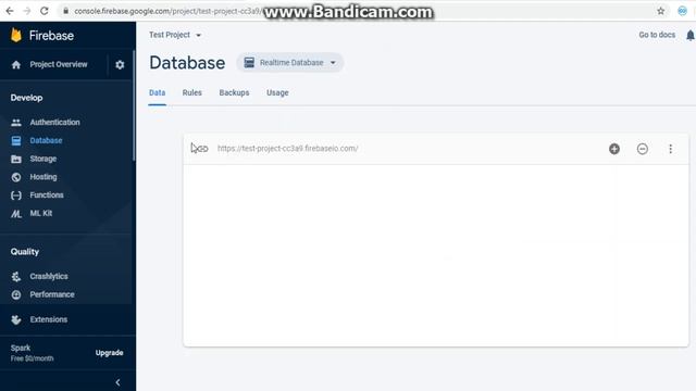 How to make Realtime Database and Storage Database on Firebase in 1 min смотреть онлайн