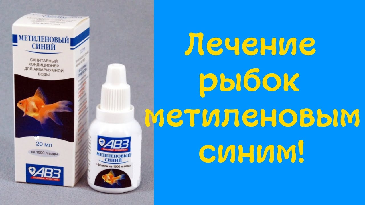 Аквариум для начинающих Метиленовый синий формамед акримет лечение аквариумных рыб смотреть онлайн