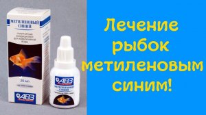 Аквариум для начинающих Метиленовый синий формамед акримет лечение аквариумных рыб
