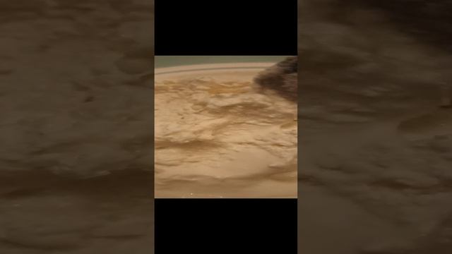 VID_20230430_211550.mp4