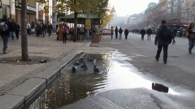 Прага Чехия+видео смотреть онлайн