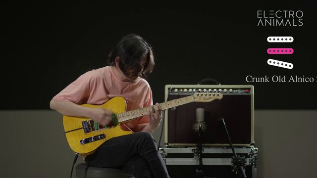 All pickups ElectroAnimals comparison №3 смотреть онлайн