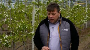 Как уберечь растения от весенних заморозков в период цветения