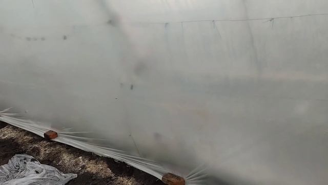 УТЕПЛЯЕМ ТЕПЛИЦУ В СВЯЗИ С МОРОЗАМИ! 12.02.2021 смотреть онлайн