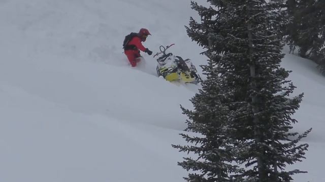 Caden Potter смотреть онлайн